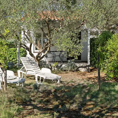 Vesela-3 By Interhome דירה *